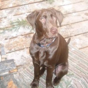 Meet your Posher, Denise